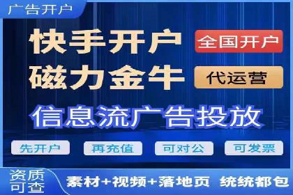SEM搜索引擎优化策略解析与应用案例
